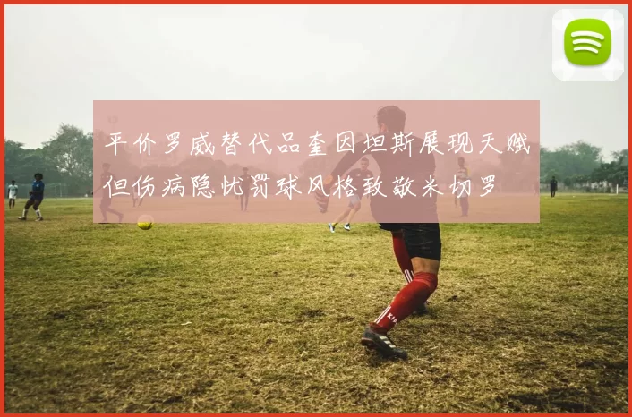 平价罗威替代品奎因坦斯展现天赋但伤病隐忧罚球风格致敬米切罗